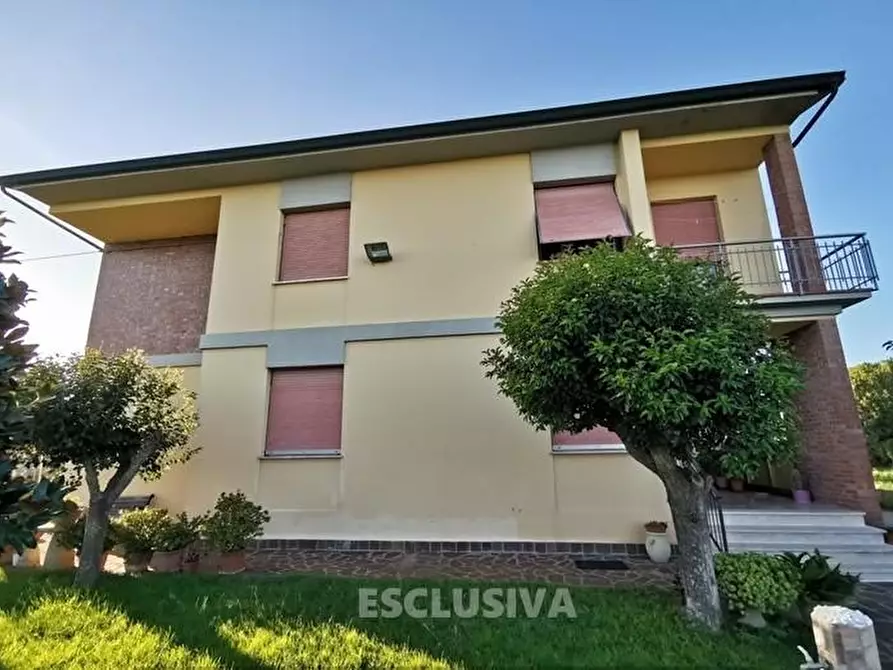 Immagine 4 di Appartamento in vendita  a Fucecchio