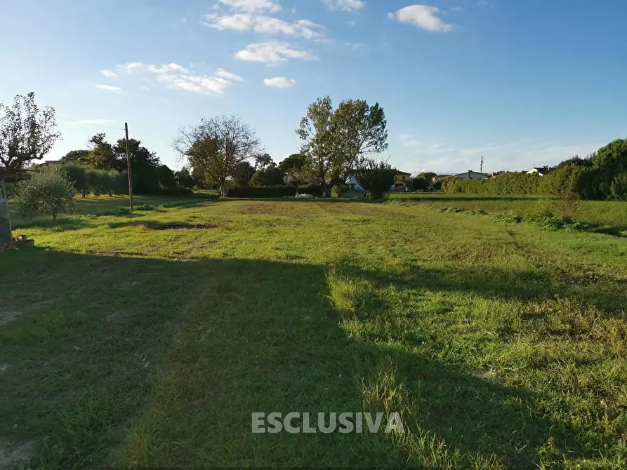 Immagine 44 di Appartamento in vendita  a Fucecchio