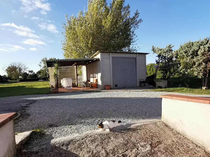 Immagine 37 di Appartamento in vendita  a Fucecchio