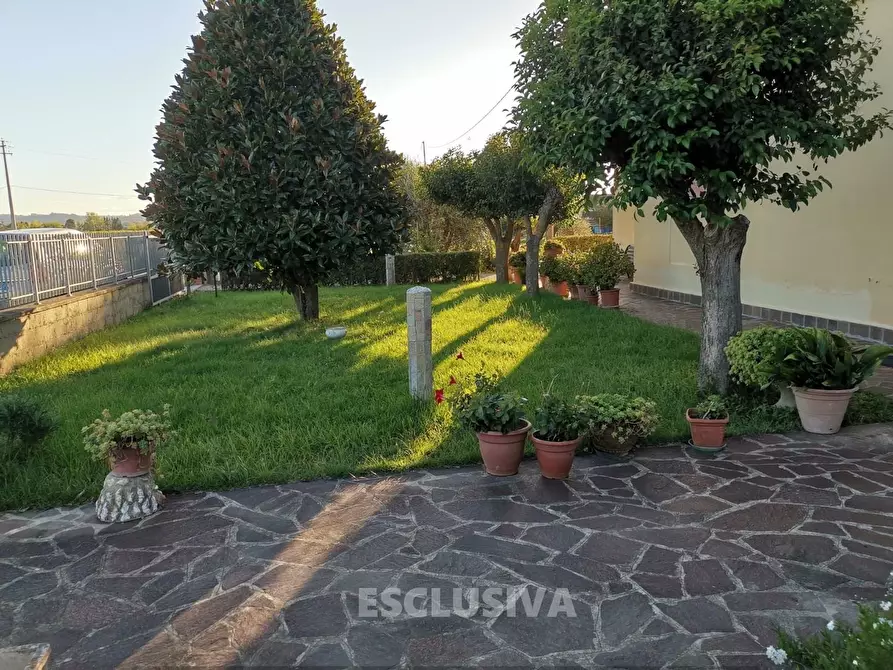 Immagine 2 di Appartamento in vendita  a Fucecchio