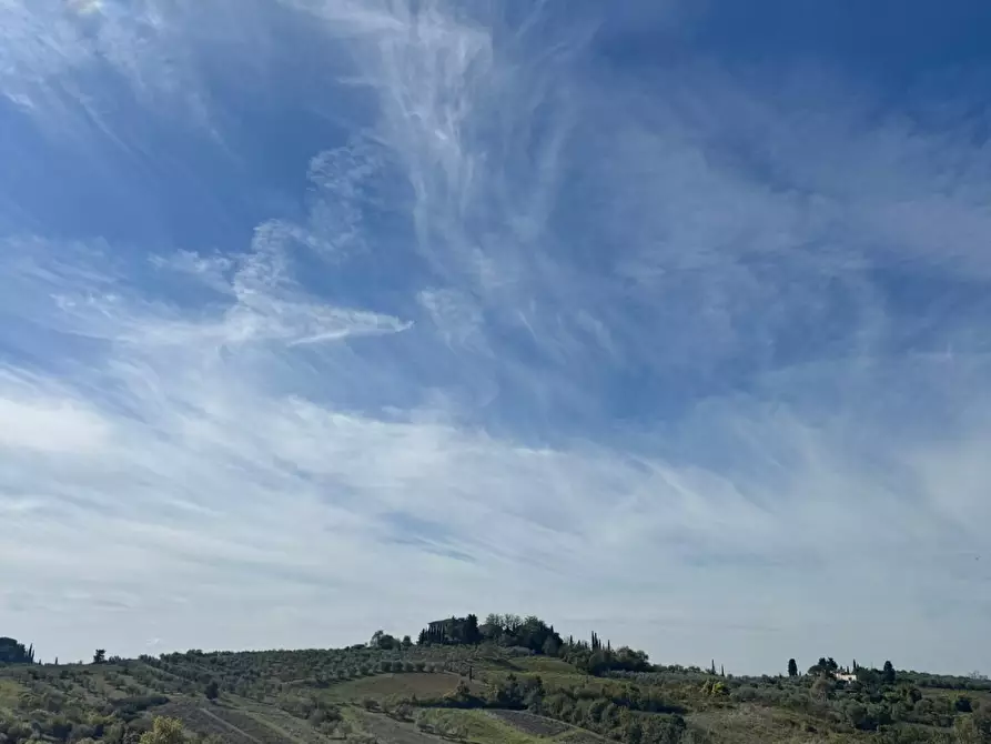 Immagine 37 di Terratetto in vendita  a Empoli