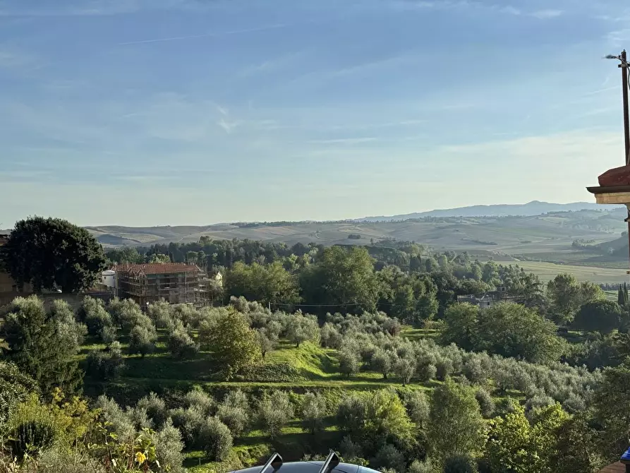 Immagine 15 di Appartamento in vendita  a Crespina Lorenzana