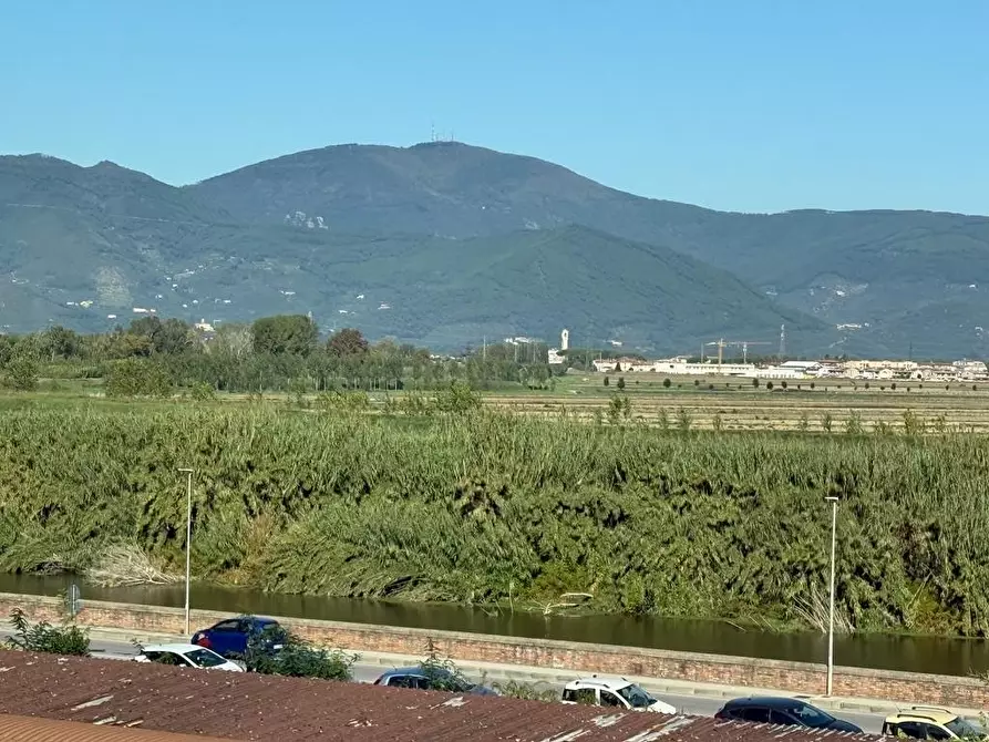 Immagine 11 di Appartamento in vendita  a Pontedera