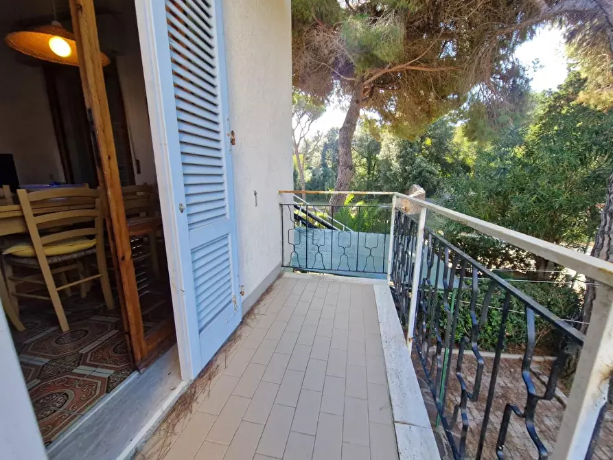 Immagine 6 di Casa quadrifamiliare in vendita  a Rosignano Marittimo