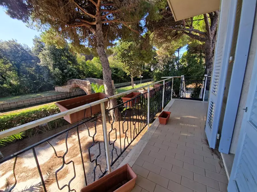 Immagine 14 di Casa quadrifamiliare in vendita  a Rosignano Marittimo