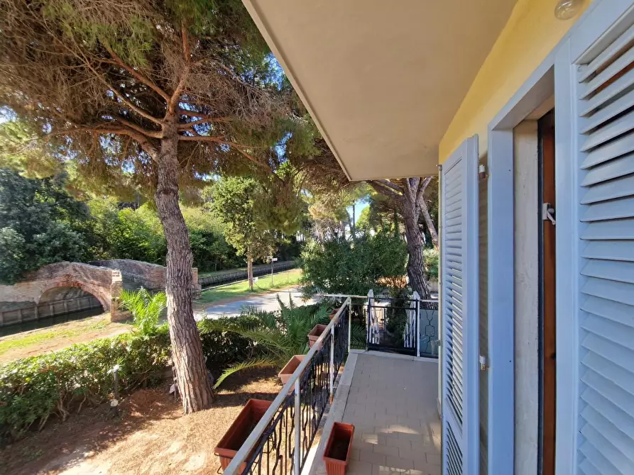 Immagine 13 di Casa quadrifamiliare in vendita  a Rosignano Marittimo