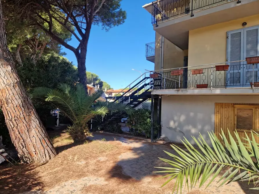 Immagine 3 di Casa quadrifamiliare in vendita  a Rosignano Marittimo