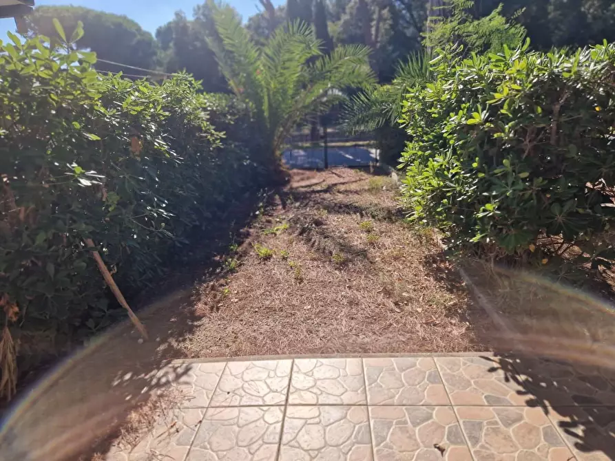 Immagine 15 di Casa quadrifamiliare in vendita  a Rosignano Marittimo