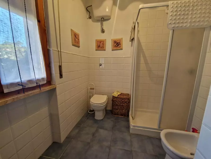 Immagine 10 di Casa quadrifamiliare in vendita  a Rosignano Marittimo