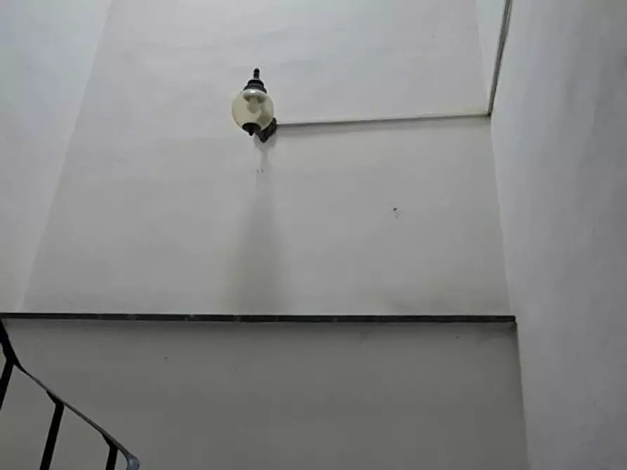 Immagine 22 di Appartamento in vendita  a Capannoli