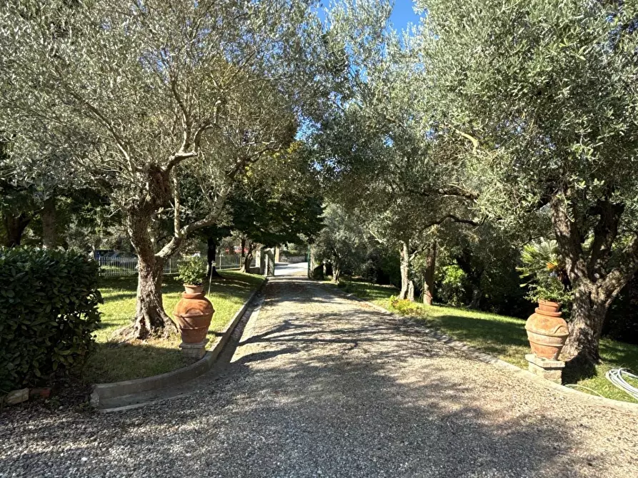 Immagine 2 di Villa in vendita  a Crespina Lorenzana