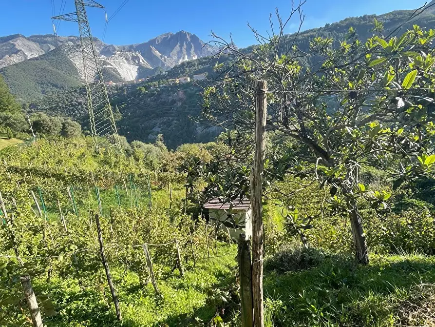 Immagine 25 di Casa bifamiliare in vendita  a Carrara
