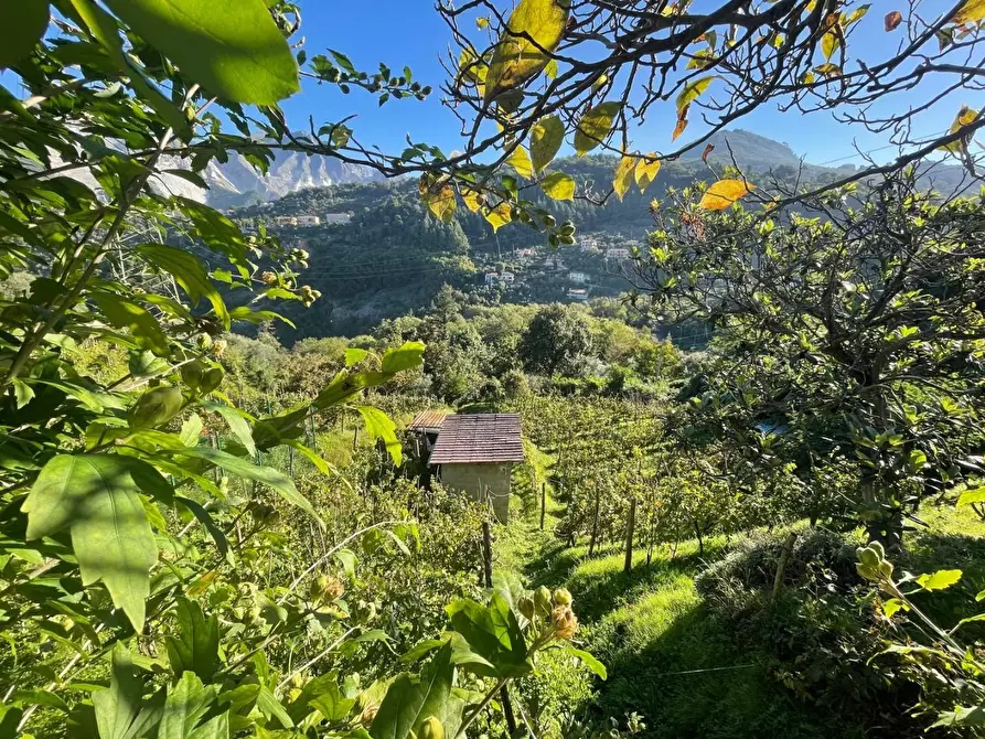 Immagine 24 di Casa bifamiliare in vendita  a Carrara