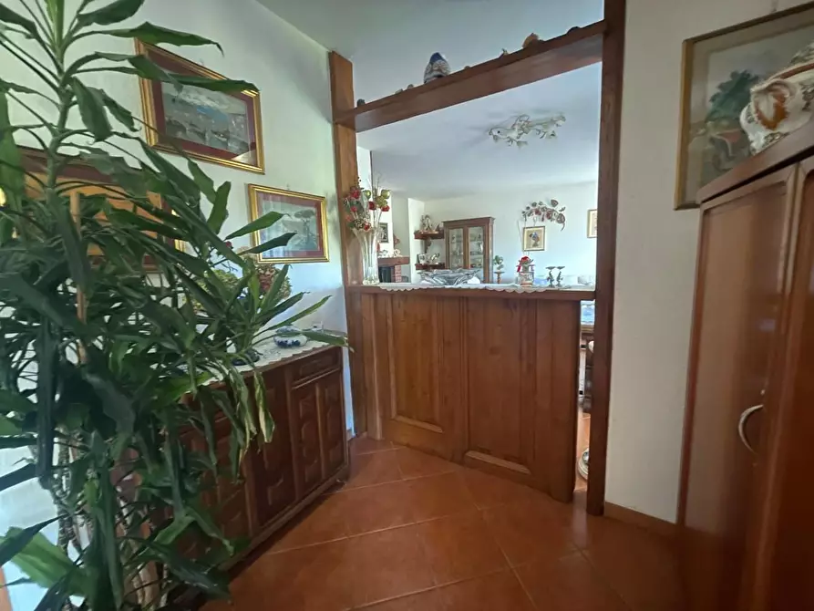 Immagine 4 di Casa bifamiliare in vendita  a Carrara