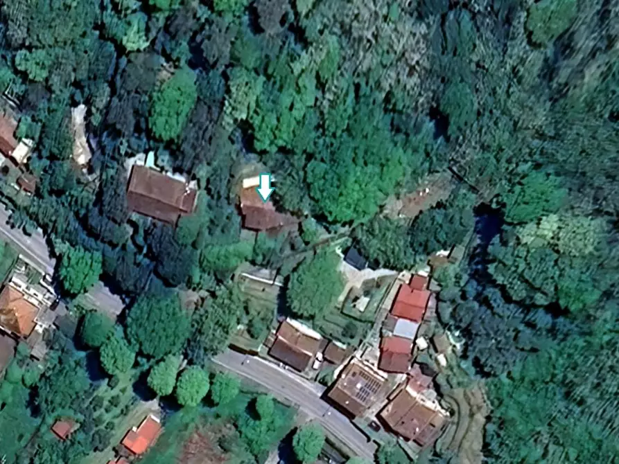 Immagine 4 di Appartamento in vendita  a Massarosa