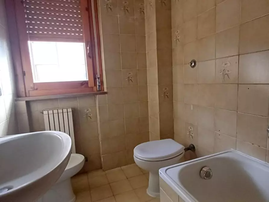 Immagine 5 di Appartamento in vendita  a Sovicille