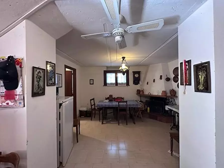 Immagine 29 di Casa trifamiliare in vendita  a Buti