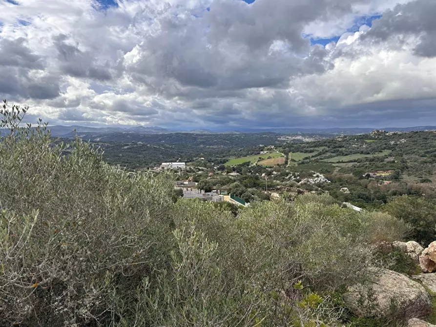 Immagine 26 di Casa colonica in vendita  a Arzachena