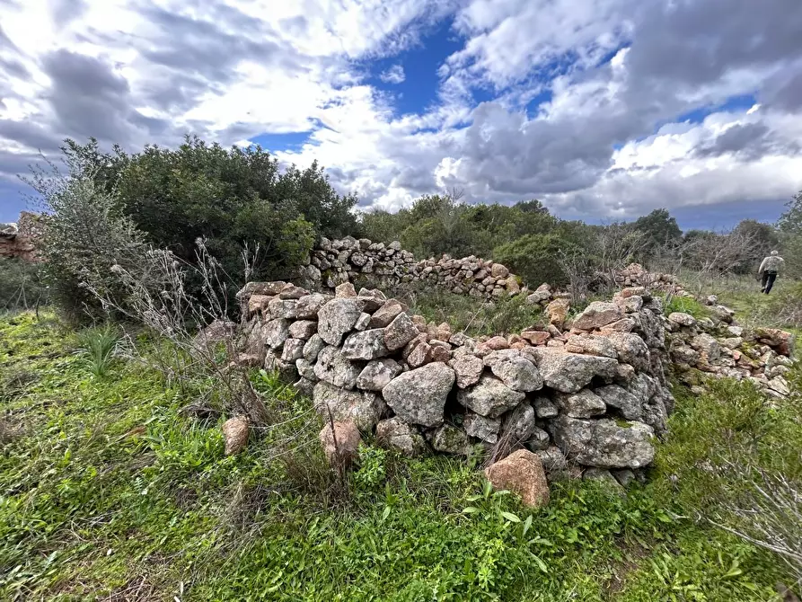 Immagine 18 di Casa colonica in vendita  a Arzachena