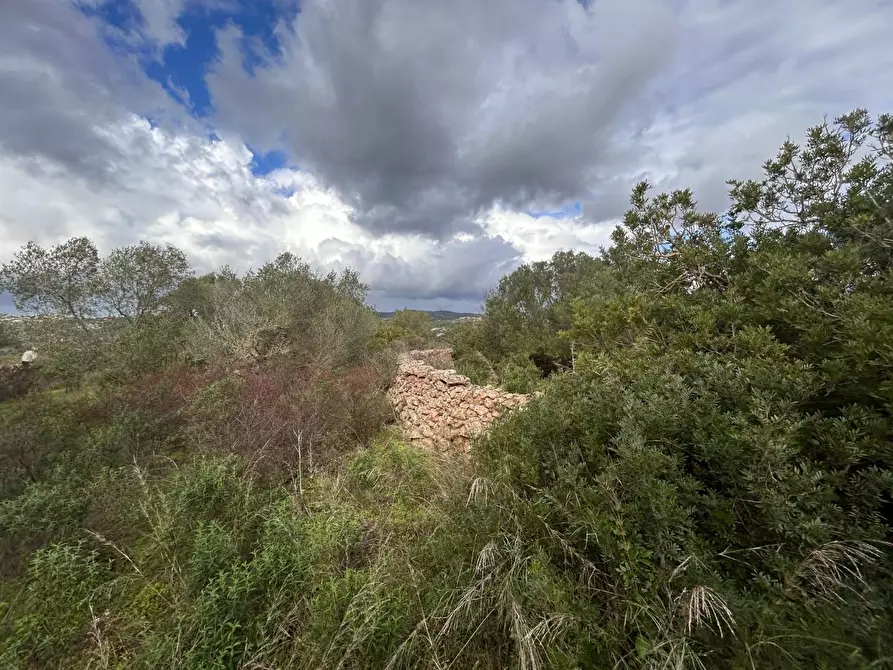Immagine 24 di Casa colonica in vendita  a Arzachena