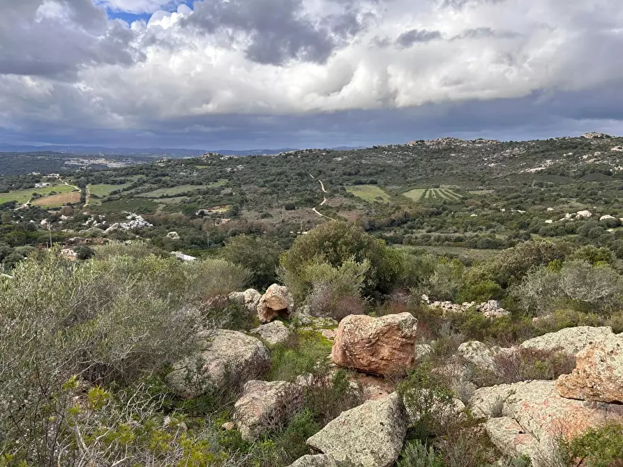 Immagine 25 di Casa colonica in vendita  a Arzachena