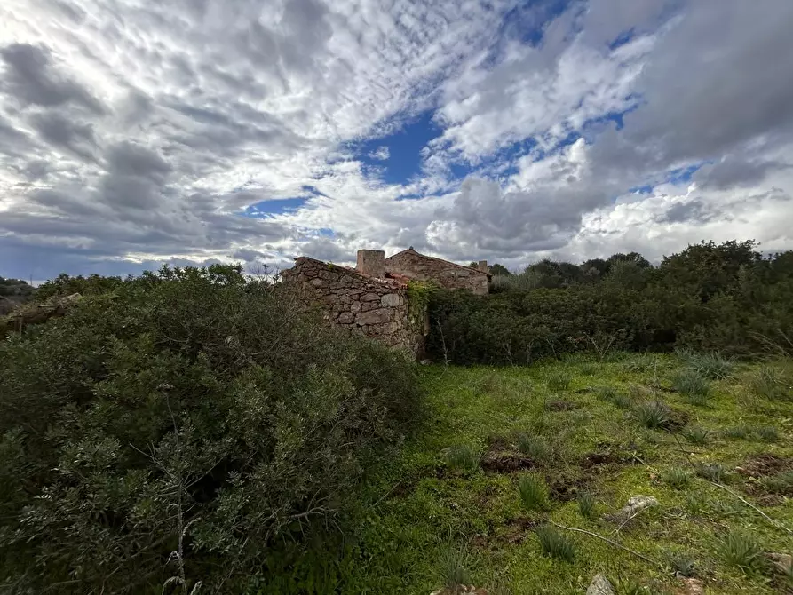 Immagine 16 di Casa colonica in vendita  a Arzachena