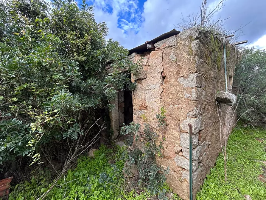 Immagine 14 di Casa colonica in vendita  a Arzachena