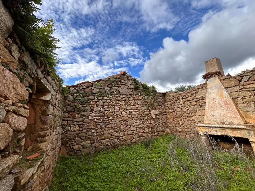 Immagine 10 di Casa colonica in vendita  a Arzachena