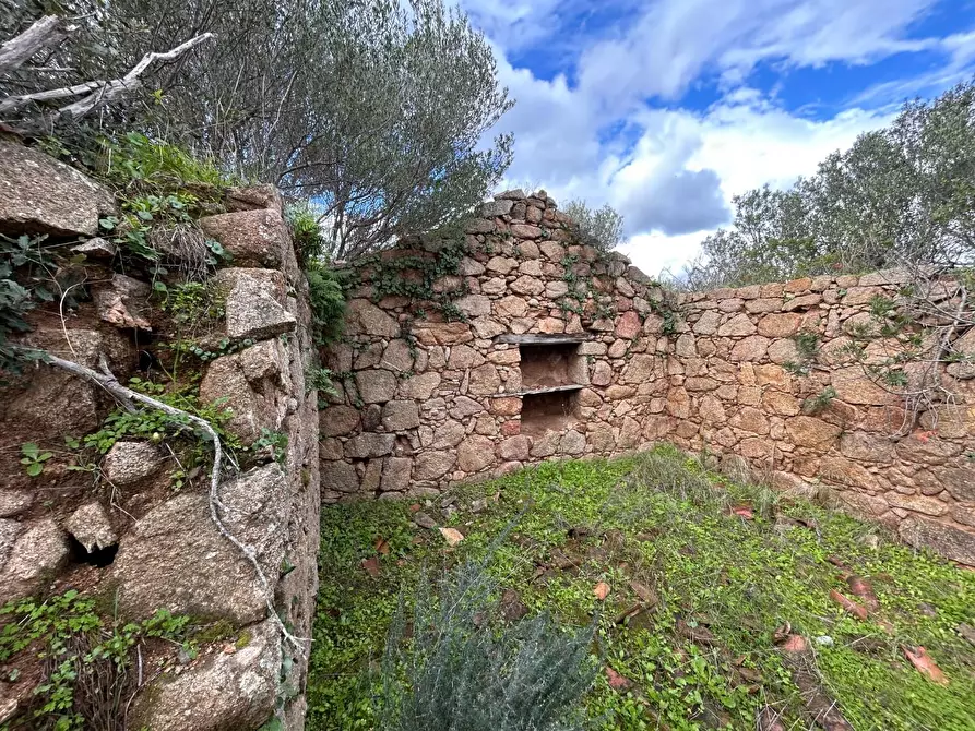 Immagine 7 di Casa colonica in vendita  a Arzachena