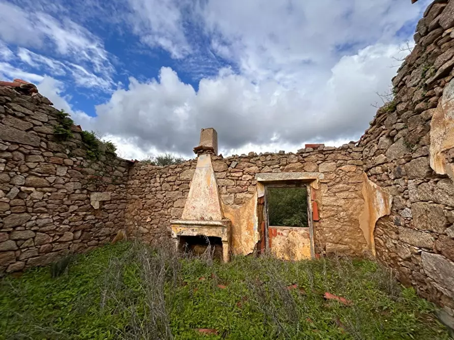 Immagine 2 di Casa colonica in vendita  a Arzachena