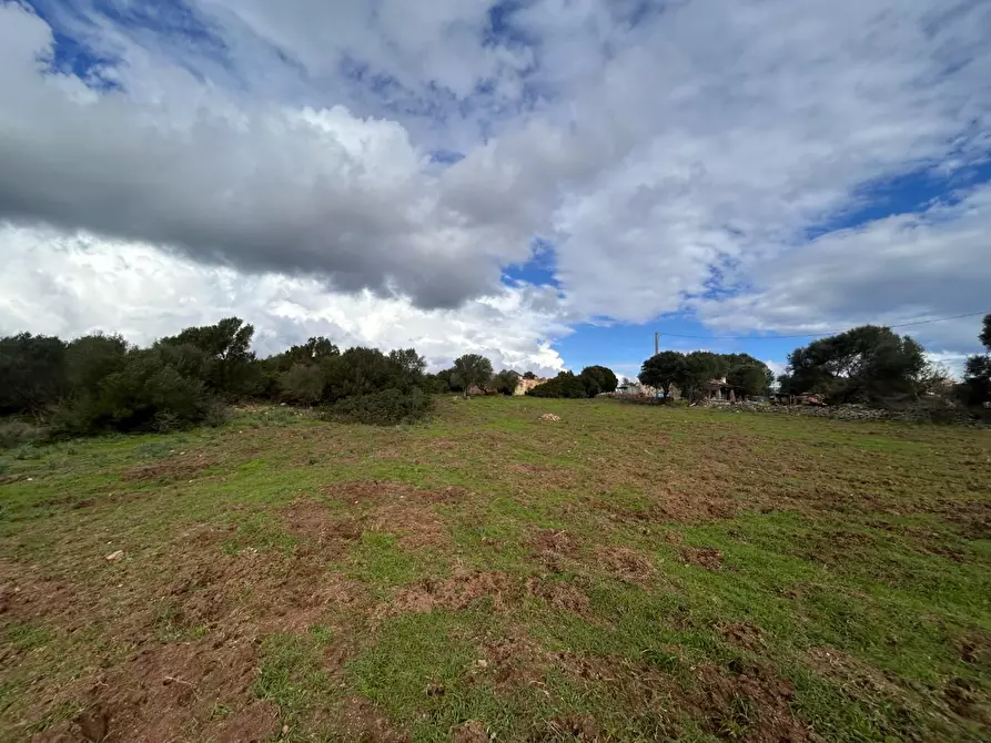 Immagine 21 di Casa colonica in vendita  a Arzachena