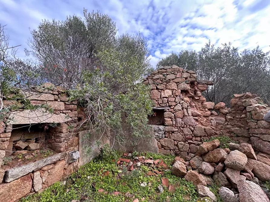 Immagine 3 di Casa colonica in vendita  a Arzachena