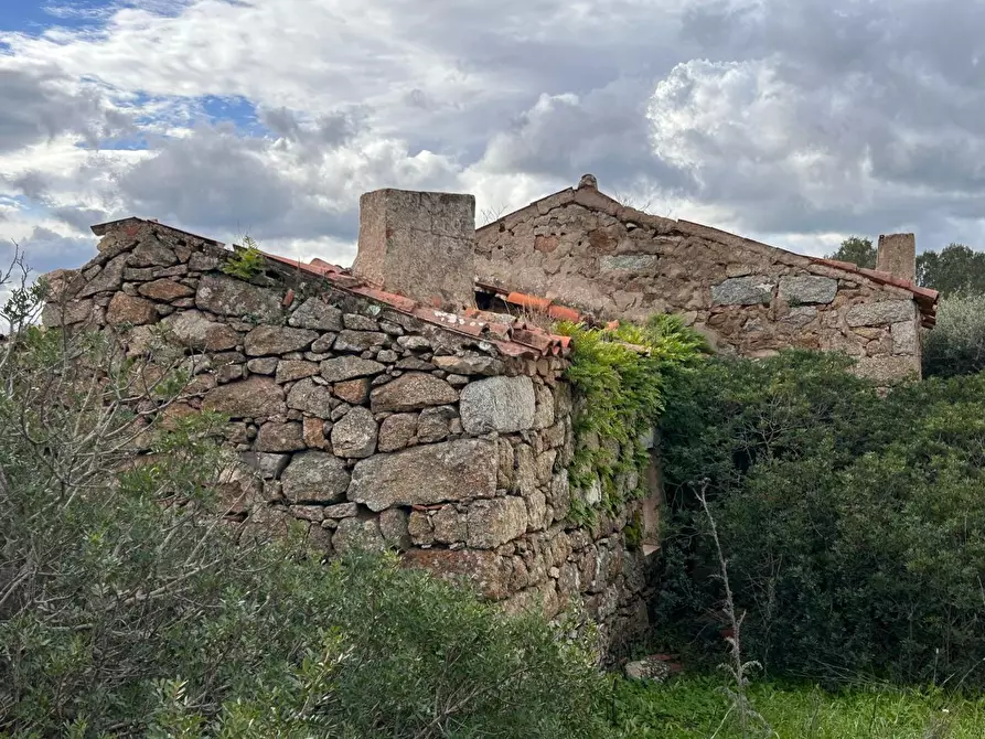 Immagine 17 di Casa colonica in vendita  a Arzachena