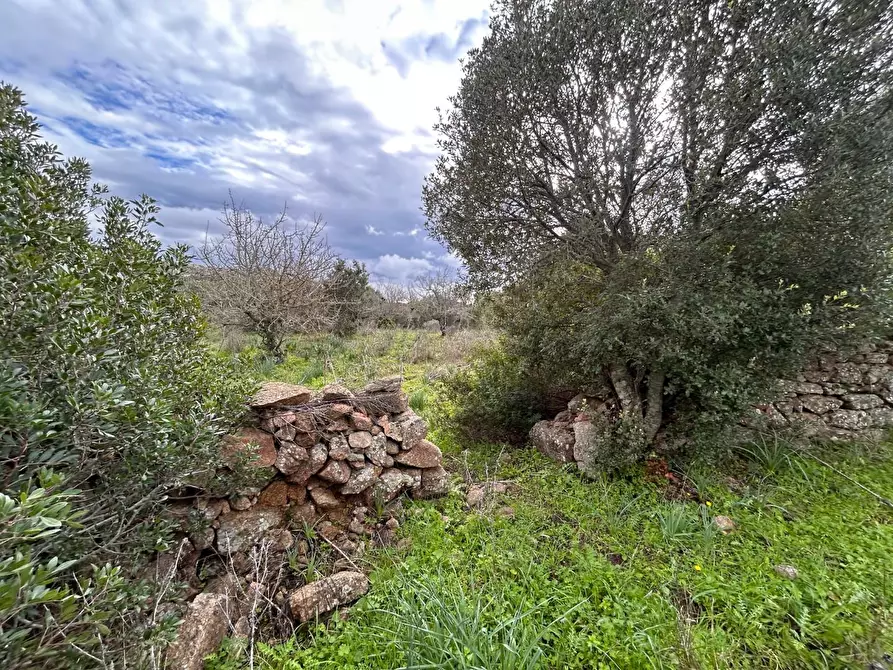 Immagine 22 di Casa colonica in vendita  a Arzachena
