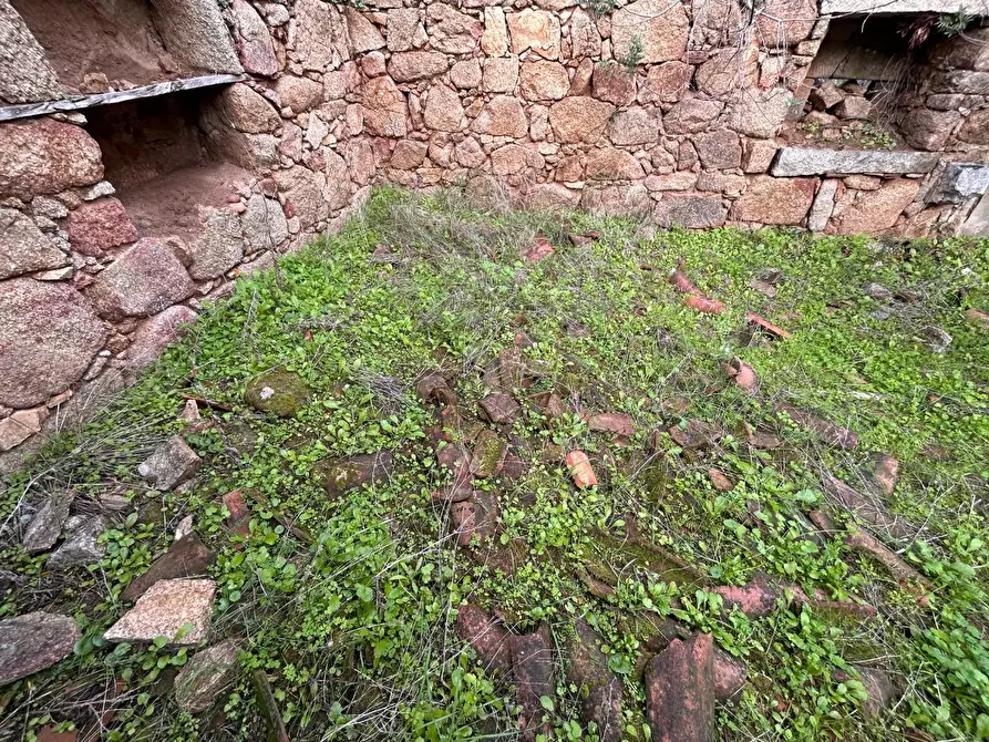Immagine 9 di Casa colonica in vendita  a Arzachena
