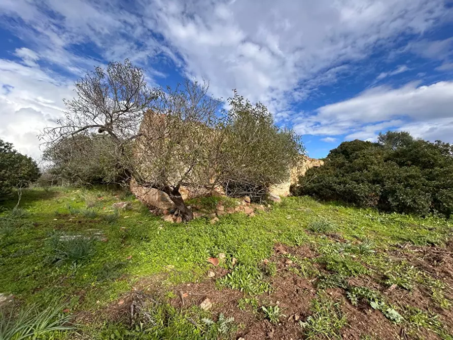 Immagine 6 di Casa colonica in vendita  a Arzachena