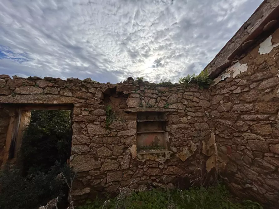 Immagine 13 di Casa colonica in vendita  a Arzachena