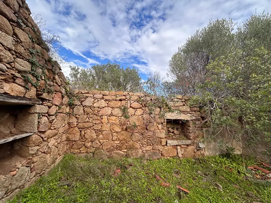 Immagine 8 di Casa colonica in vendita  a Arzachena