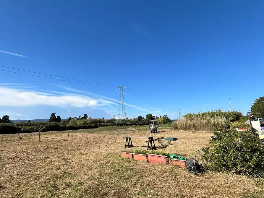 Immagine 5 di Appartamento in vendita  a Piombino