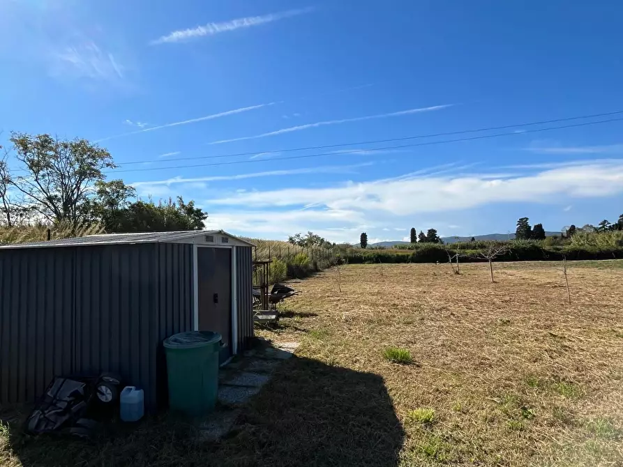 Immagine 6 di Appartamento in vendita  a Piombino