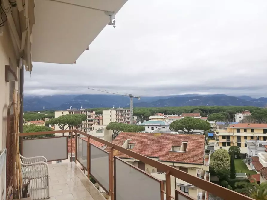 Immagine 11 di Appartamento in vendita  a Viareggio