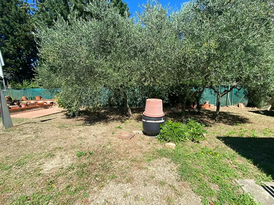 Immagine 35 di Porzione di casa in vendita  a Lastra A Signa