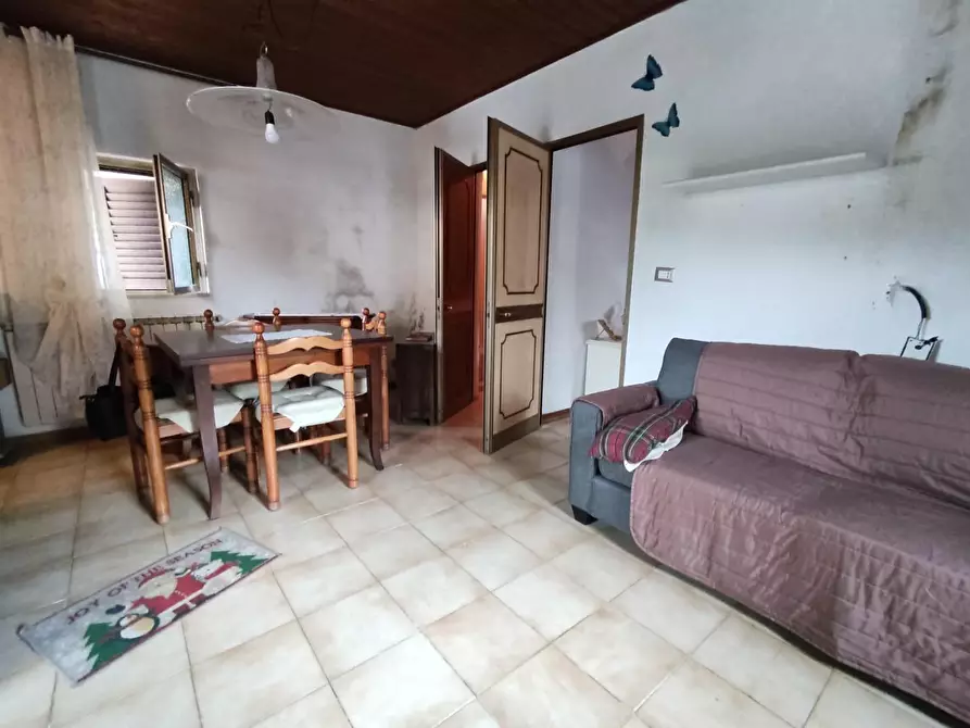 Immagine 2 di Villa in vendita  a Pietrasanta