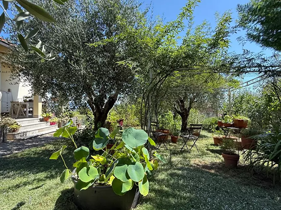 Immagine 7 di Villa in vendita  a Montecarlo