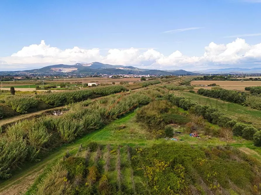 Immagine 3 di Terreno agricolo in vendita  a Piombino