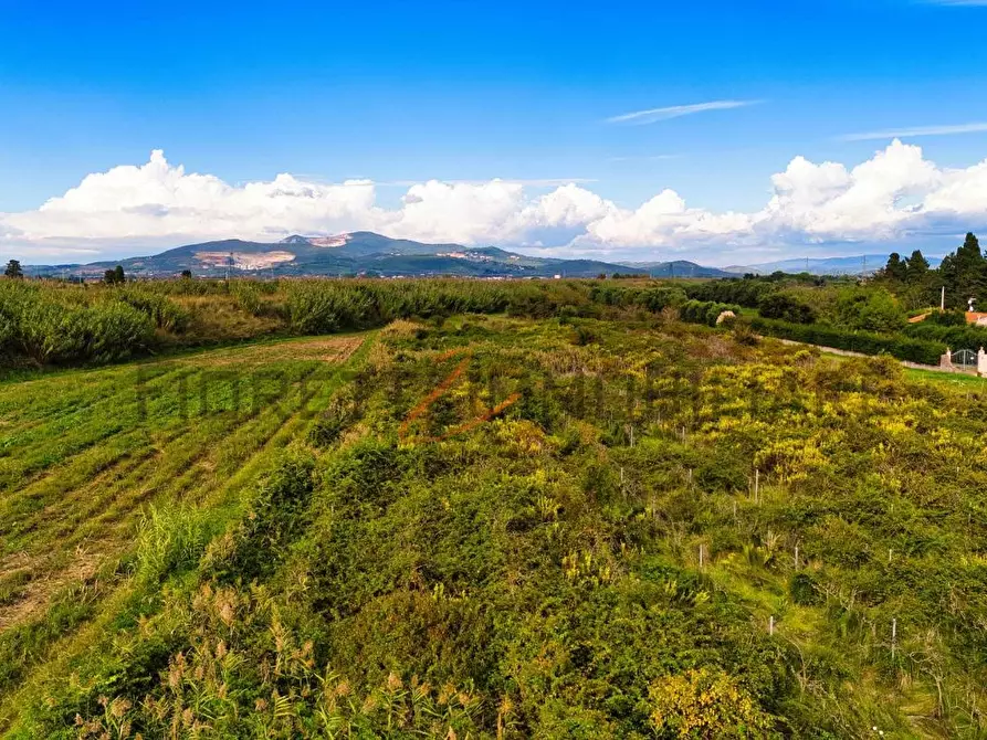 terreno agricolo in vendita a Piombino