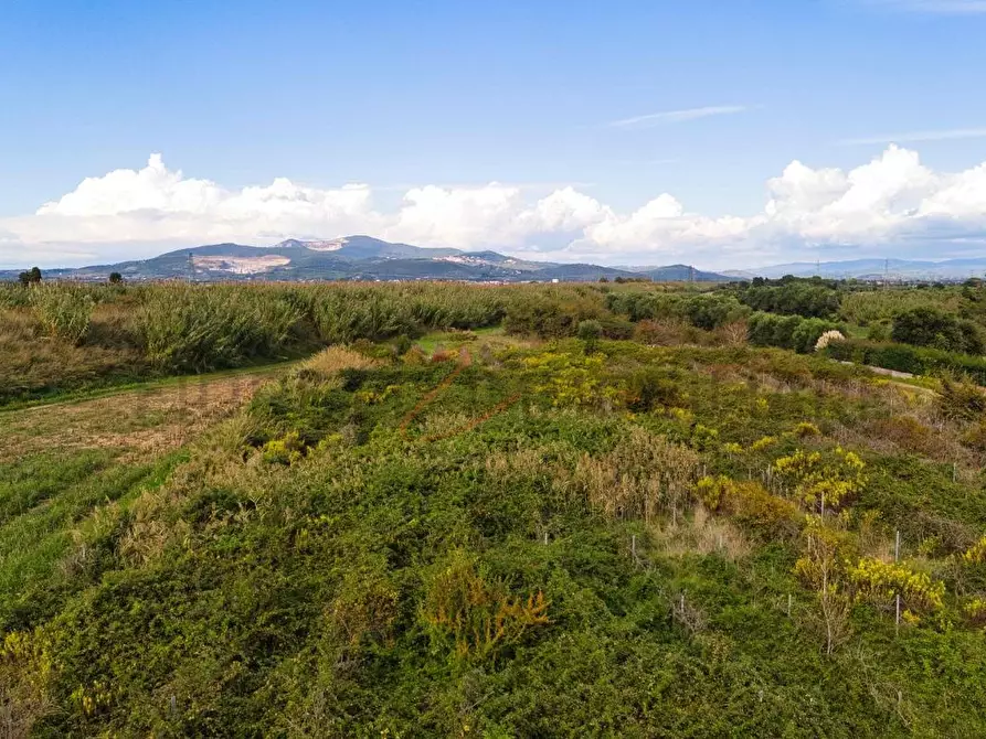 Immagine 2 di Terreno agricolo in vendita  a Piombino
