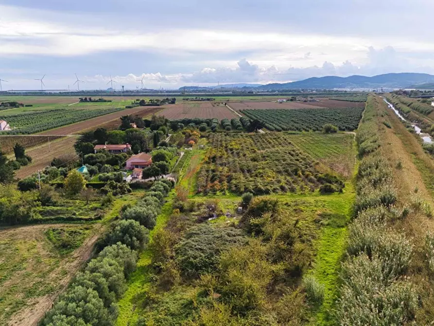 Immagine 4 di Terreno agricolo in vendita  a Piombino