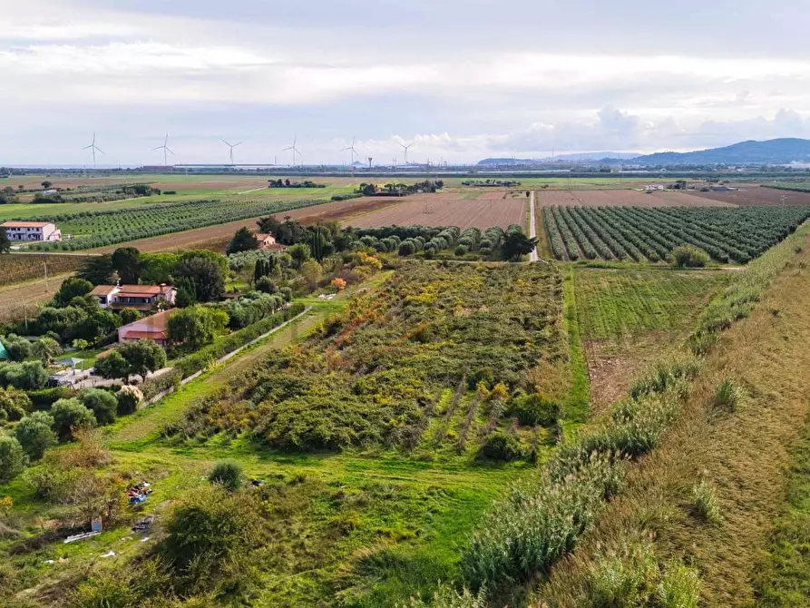 Immagine 5 di Terreno agricolo in vendita  a Piombino