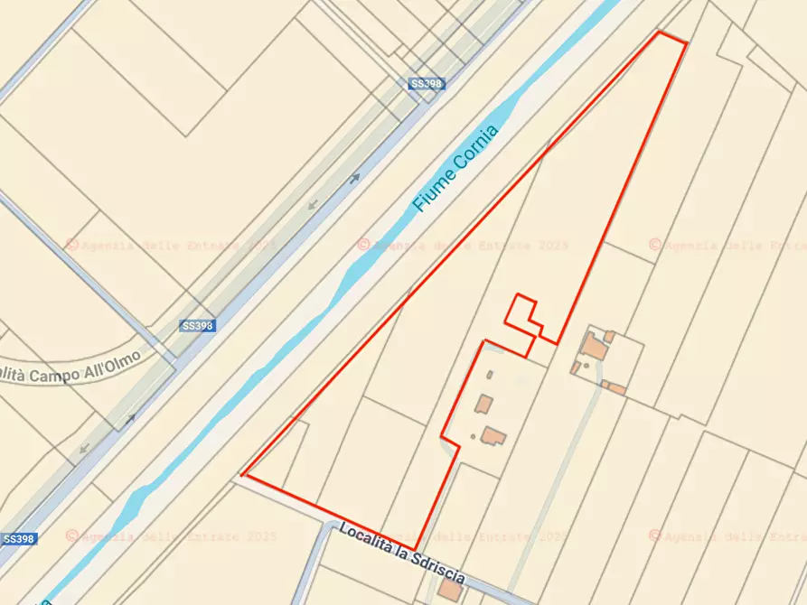 Immagine 8 di Terreno agricolo in vendita  a Piombino